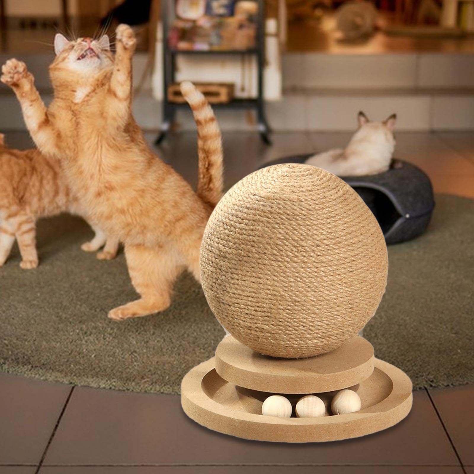 Balle à Griffer pour Chat, Jouet pour Chat, Jouet d'exercice, Griffe à Griffer pour Chat, Circuit avec Pa