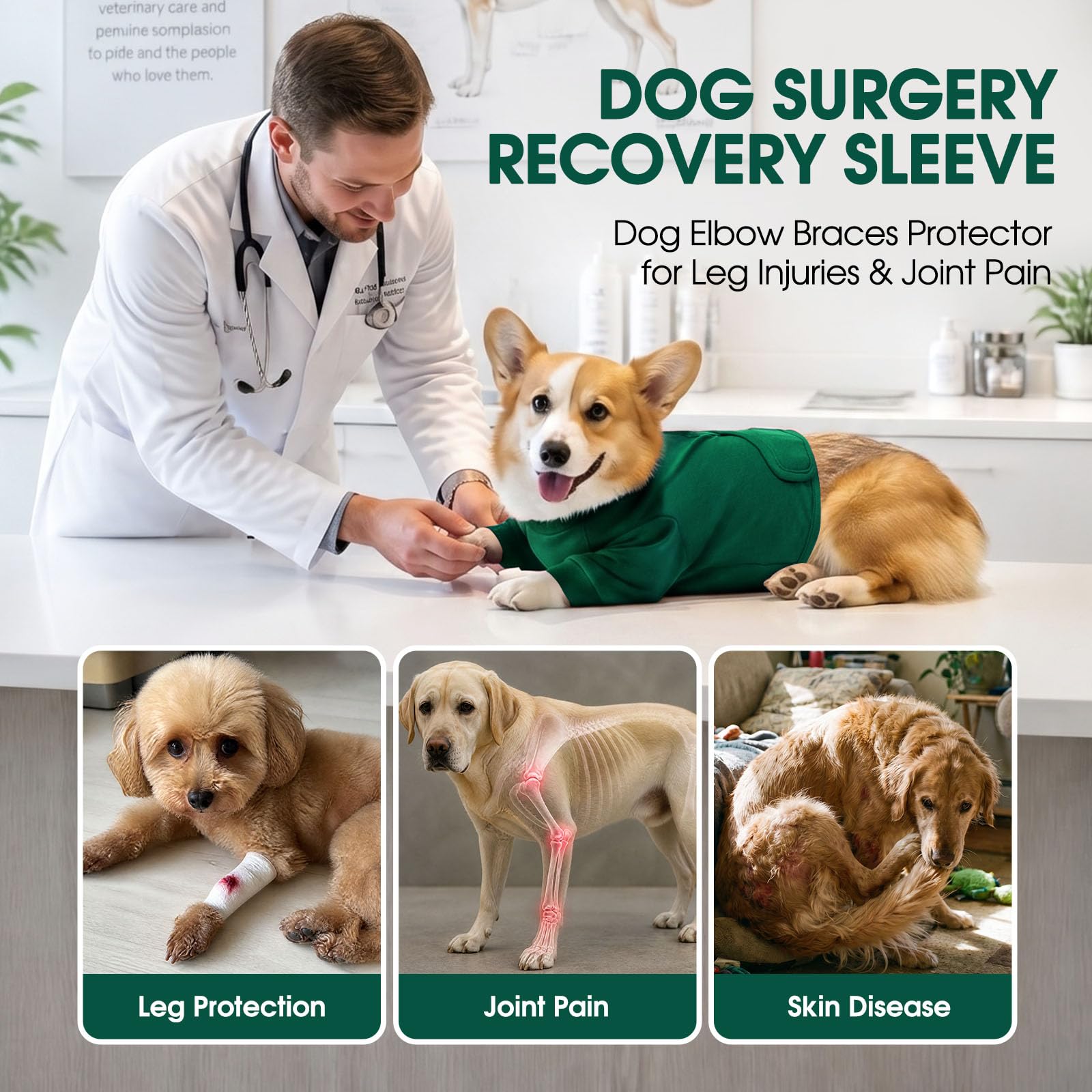 CITÉTOILE Manchon de Récupération Chirurgicale Chien, Protection Contre Les blessures à la Jambe Avant pour Chien de Taille Moyenne et Grande, Vert, S