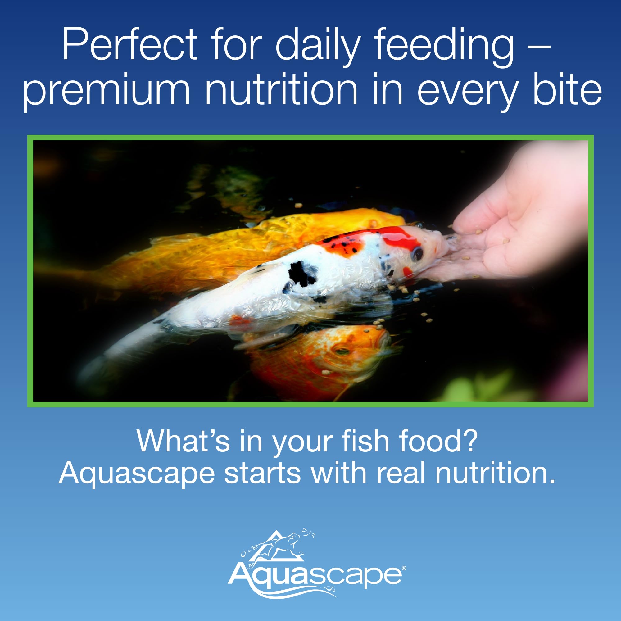 Aquascape Comida para estanques y Koifischene Premium, varios tamaños de pellets de 4,4 libras