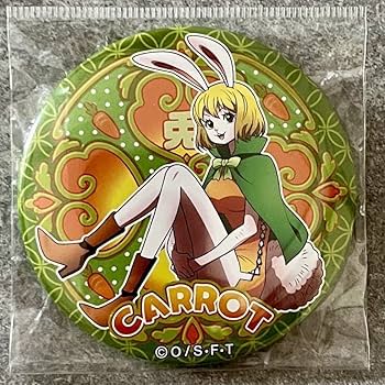 Amazon.co.jp: 麦わらストア限定/ワンピース/缶バッジ/ワノ国