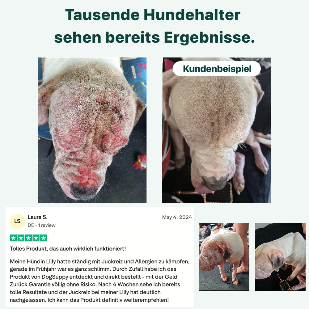 DogSuppy Juckreiz Linderung, Probiotika für Hunde, gegen Juckreiz und zur Stärkung des Immunsystems, Unterstützt die Verdauung & Darmflora, 3 Milliarden Probiotika pro Snack, 60 leckere Snacks