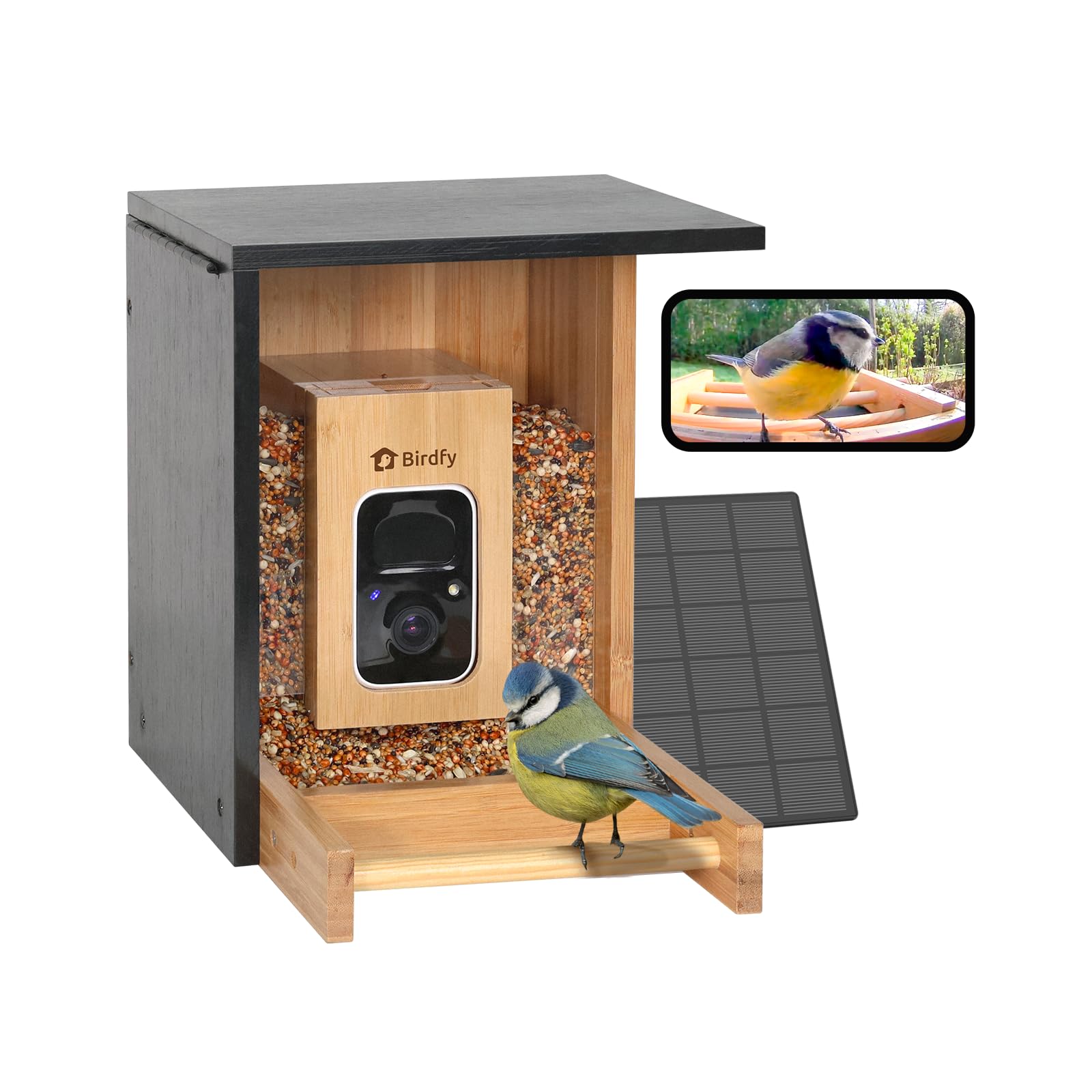 NETVUE by Birdfy Bambus Mini Vogelfutterhaus mit Kamera für Live Vogelbeobachtung, Solarbetrieb Vogelfutterspender mit App, Automatisch Aufnahm und Echtzeit Benachrichtigung bei Vogelbesuch