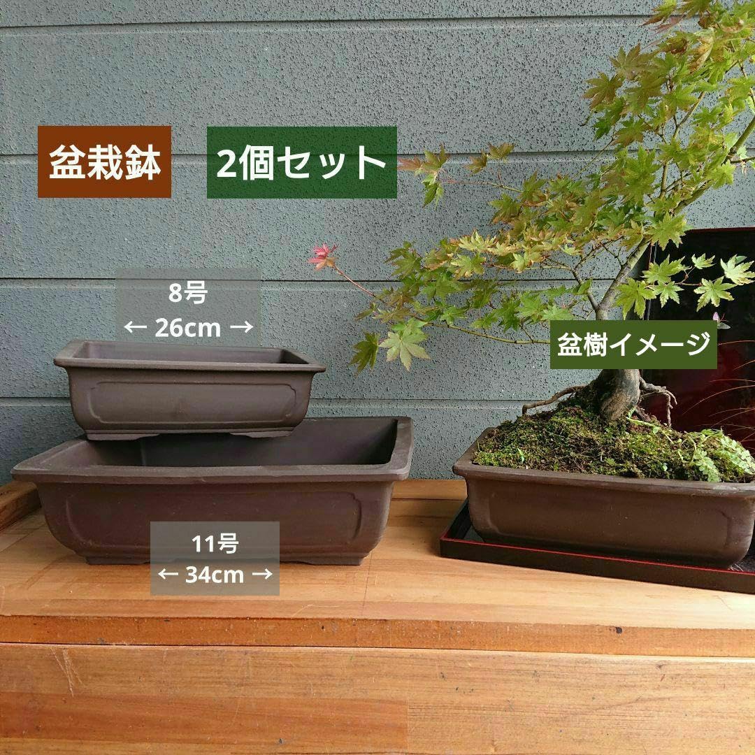 Amazon.co.jp: 盆栽鉢 2コセット 11号 8号 陶器 う泥 長角エン付マド入