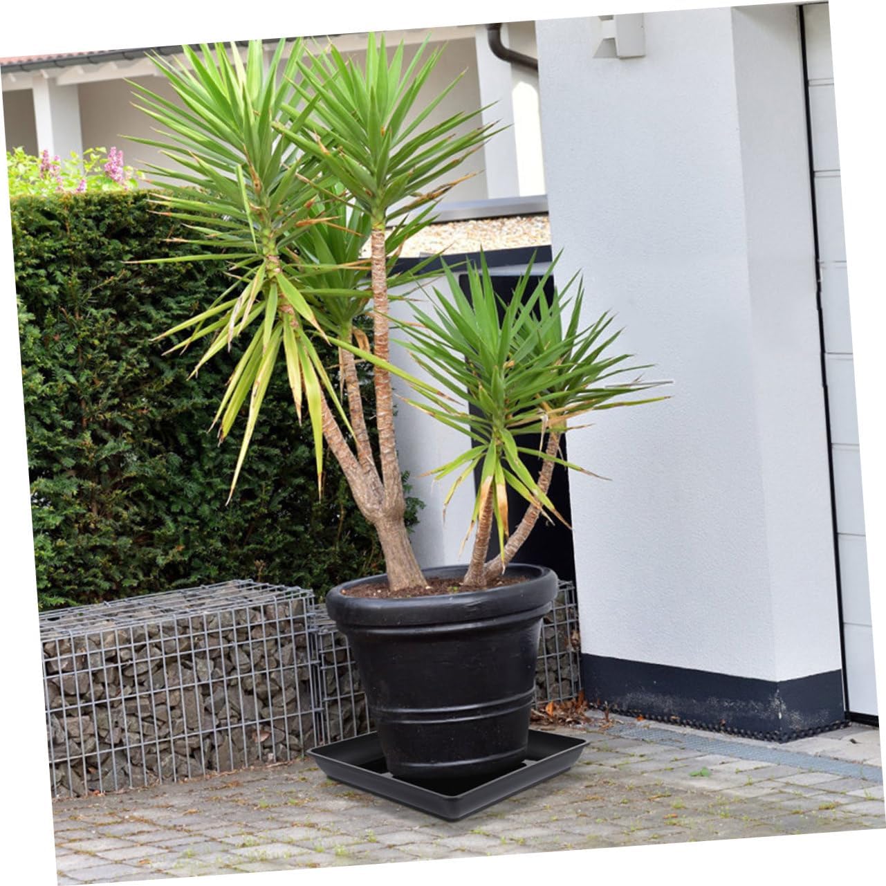 6pcs Square Plant Saucer Heavy Duty Plastic Drip Tray for Use Durable Water Catcher for Flower Pots for Garden and Balcony Setup