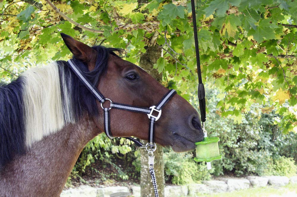 Kerbl Supporto per Pietre nel Pack Perdite 324792 SB