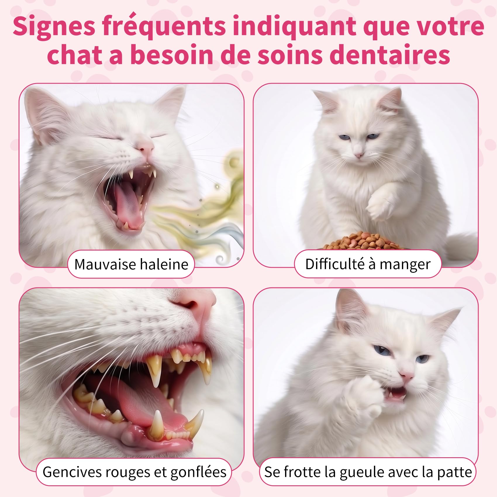 Dentifrice Enzymatique pour Chats - Kit Dentaire avec Brosse, Gel sans Parfum Contre la Plaque et Mauvaise Haleine, Prévient Le Tartre - 30g