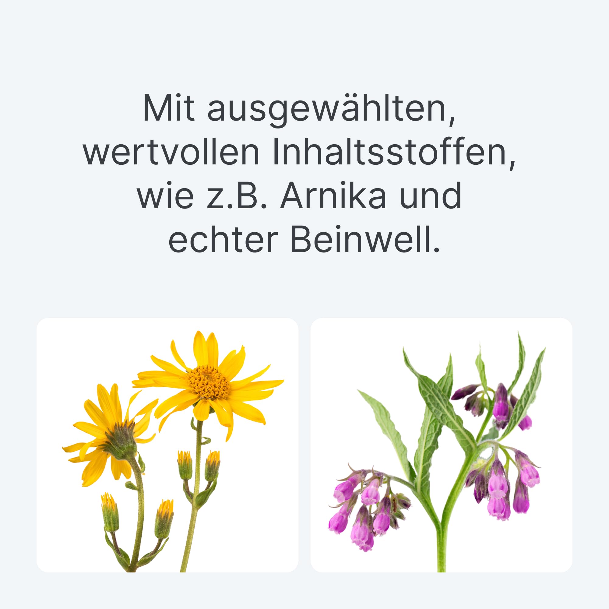 Traumeel LT & Zeel LT ad us. vet. 2x500 Tabletten, Tierarzneimittel | Unterstützung in aktiven Momenten & für langfristige Beweglichkeit, Natürliches Tierarzneimittel für u.a. Hunde und Katzen