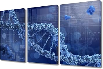 TUMOVO 3 Pieces Biological Science Research Wall Art for Living Room Office