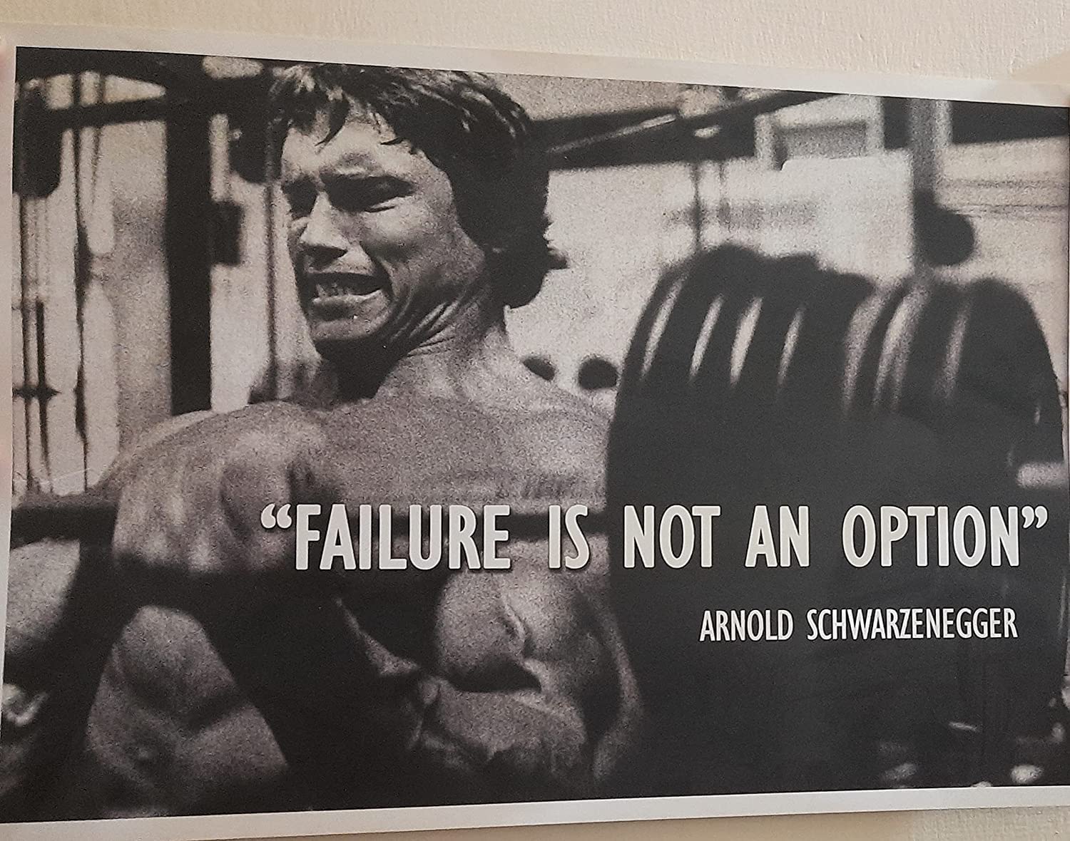 ARNOLD SCHWARZENEGGER GYM WALL POSTER || MOTIVATIONAL POSTER || WALL POSTER || 12*18 INCH || HD PRINTS