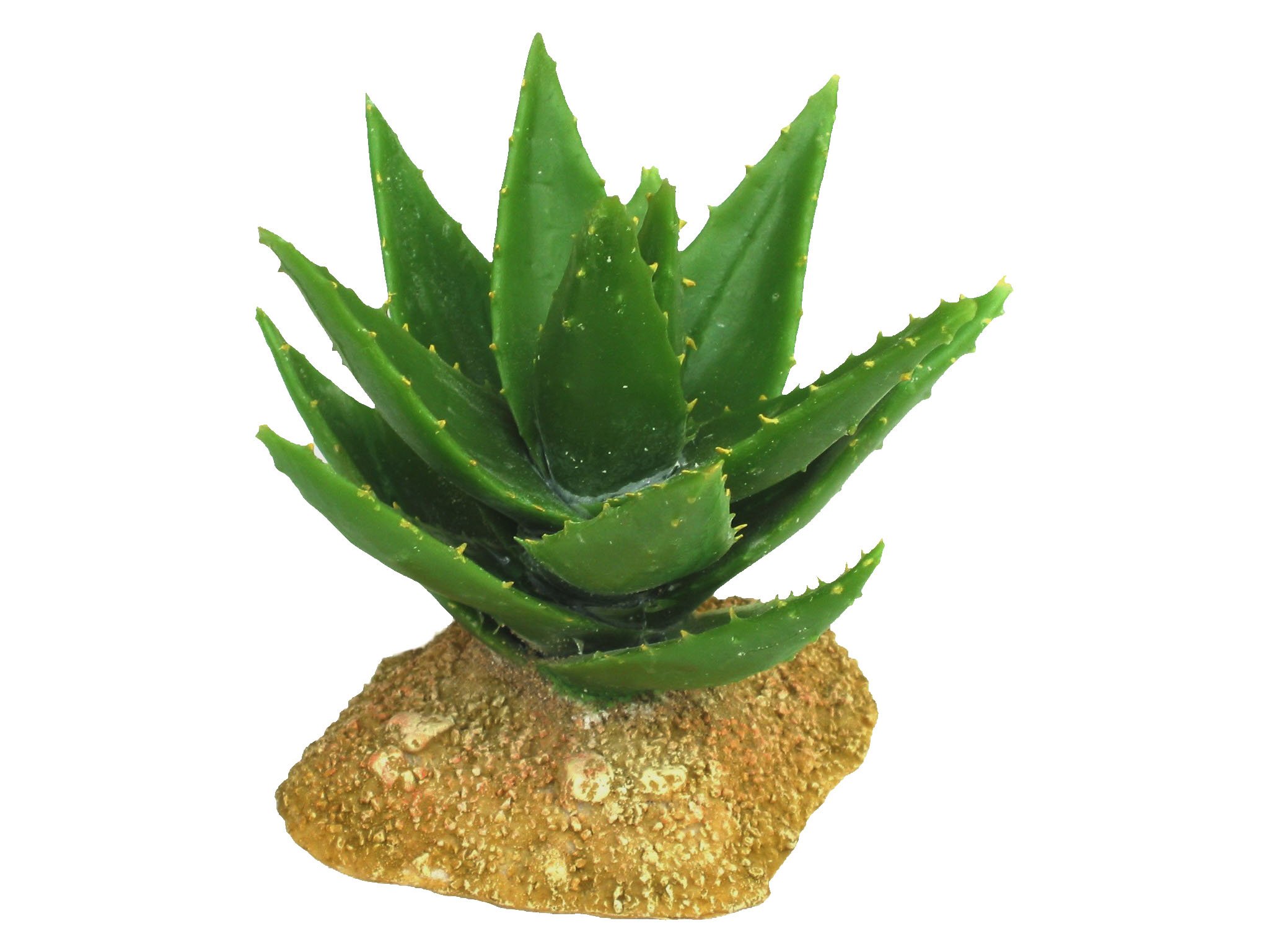 Haquoss Cactus 4 Ornament for Aquarium Decor