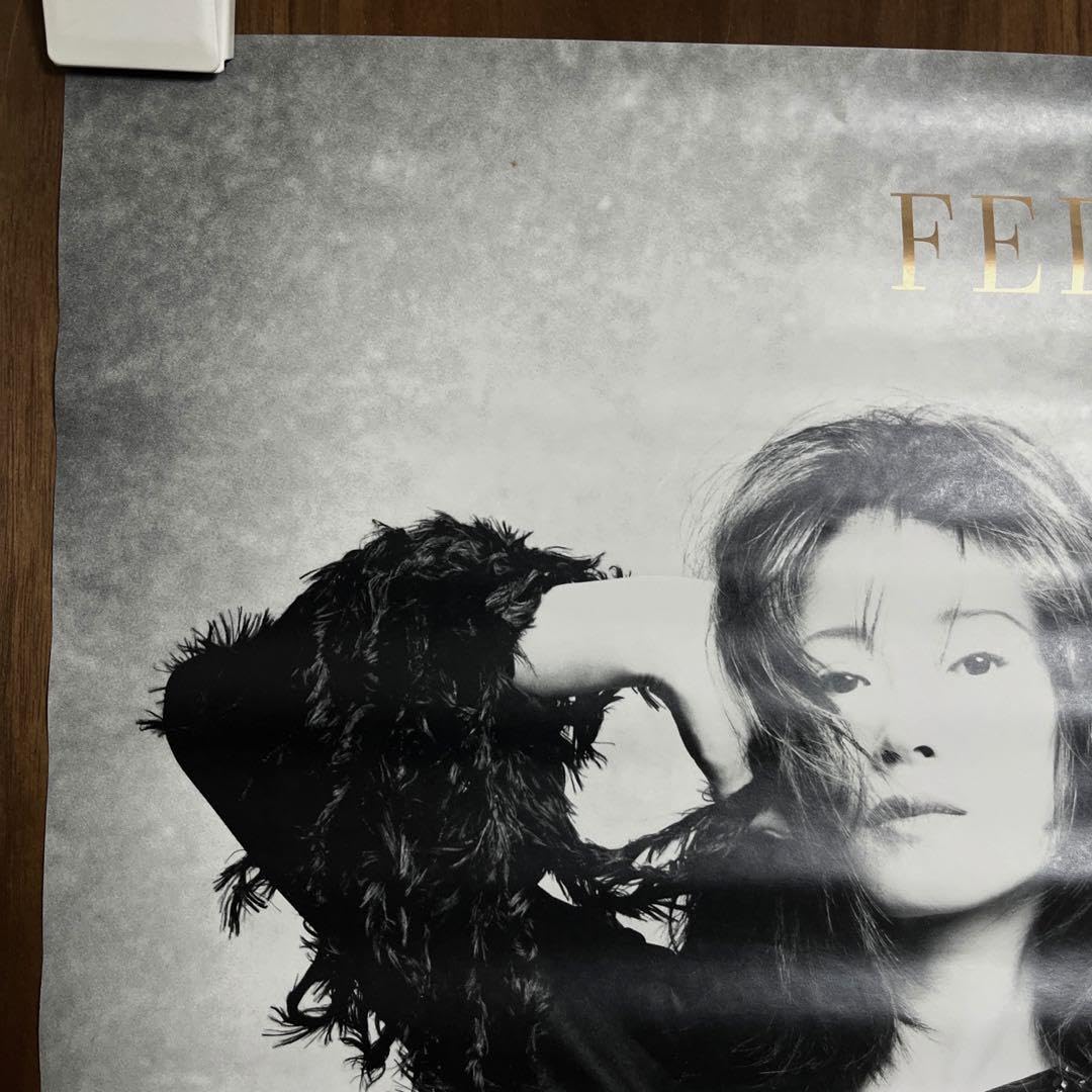 Amazon.co.jp: 中森明菜 felicidad B2 ポスター : おもちゃ