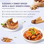 Soeos Organic Ceylon Des bâtons de cannelle, 28g (1oz) Boîte de 1, Cinnamon véritable Ceylan, bâtons entiers premium pour le cuisson, la cuisson, les boissons, l'aromatique et naturellement l'épice sucrée.