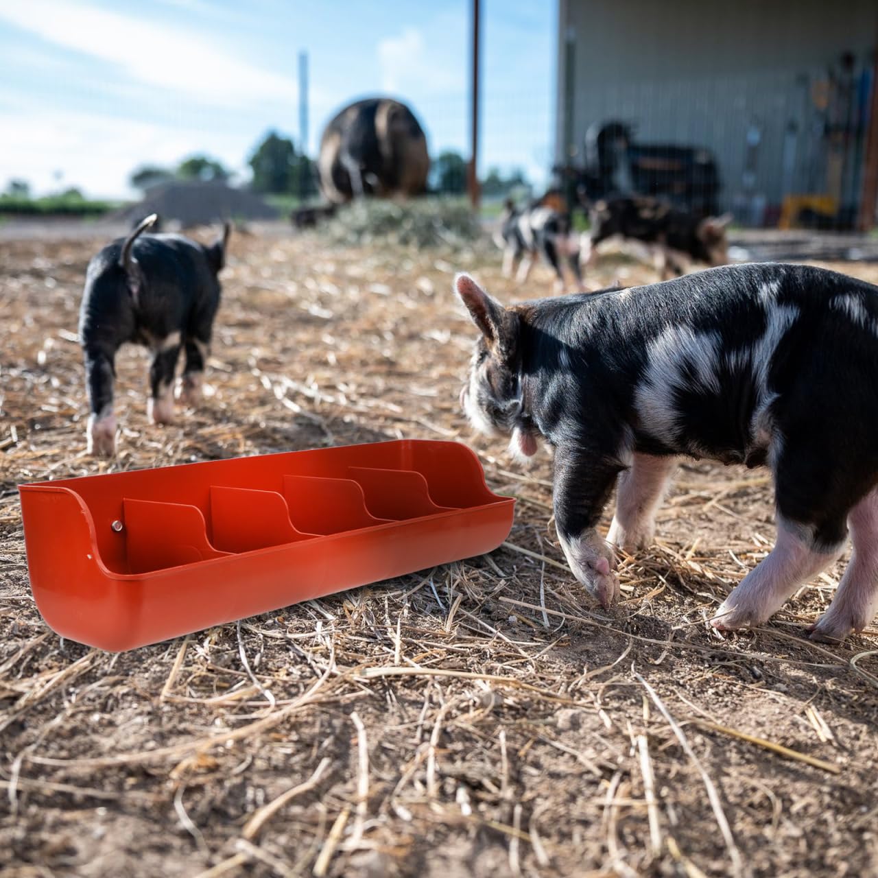 POPETPOP Comederos colgantes para aves de corral: 2 comederos de pollo, contenedor de alimentación de cerdos para pollo, pato, cabra, cerdo, aves de corral, ganado, 5 compartimentos