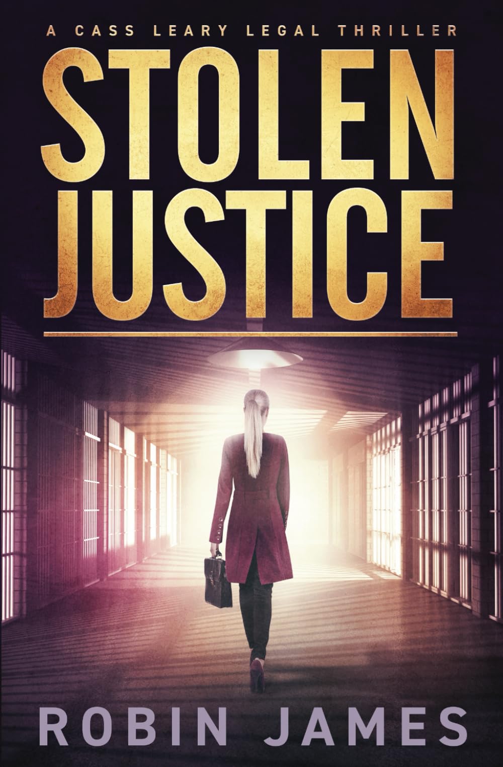 Stolen Justice (Cass Leary Legal Thriller Series)