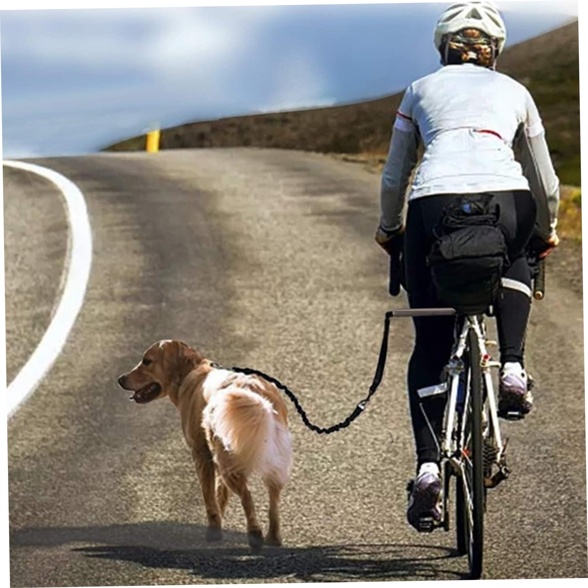 Guinzaglio per cani da bici Attacco per bici per cani resistente a mani libere con guinzaglio retrattile per esercizi a