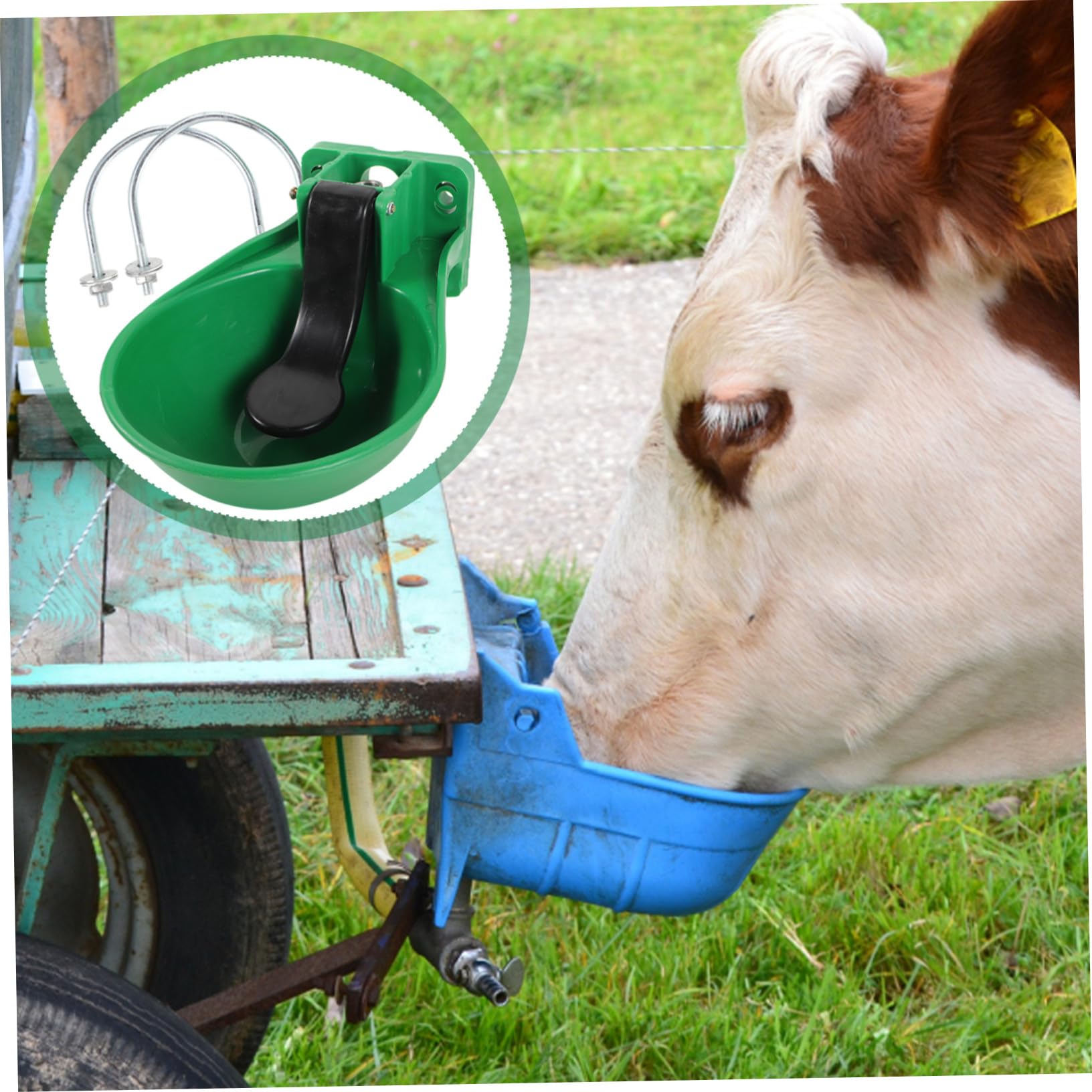 Abbeveratoio Automatico per Bovini, Verde, Grande Capacità