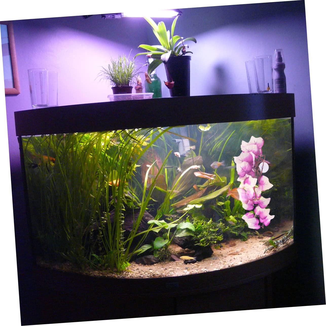 Toddmomy 4 Set Piante Acquatiche Simulate Rettile Pianta Dell'habitat Dei Rettili Piante Di Seta Dell'acquario Impianti Accessori Gecko Accessori Per Rettili Plastica 2 Pezzi * 4