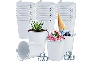 Pint-Sized Metal Bucket Brilliance: Mini Masterpieces for a Multitude of Needs