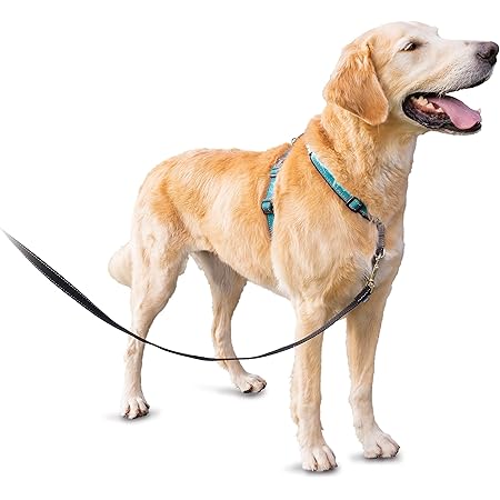 amazon petsafe easy walk harness