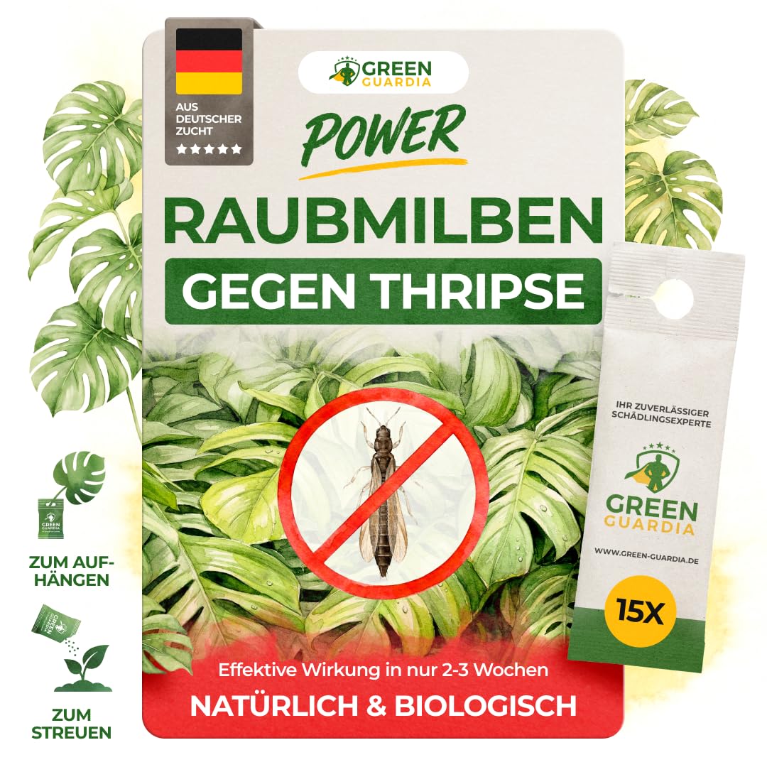 GREEN GUARDIA Power Raubmilben gegen Thripse und Spinnmilben – Biologisches Mittel zur effektiven Thripse Bekämpfung – Umweltfreundlich, chemiefreie Mittel, einfache Anwendung