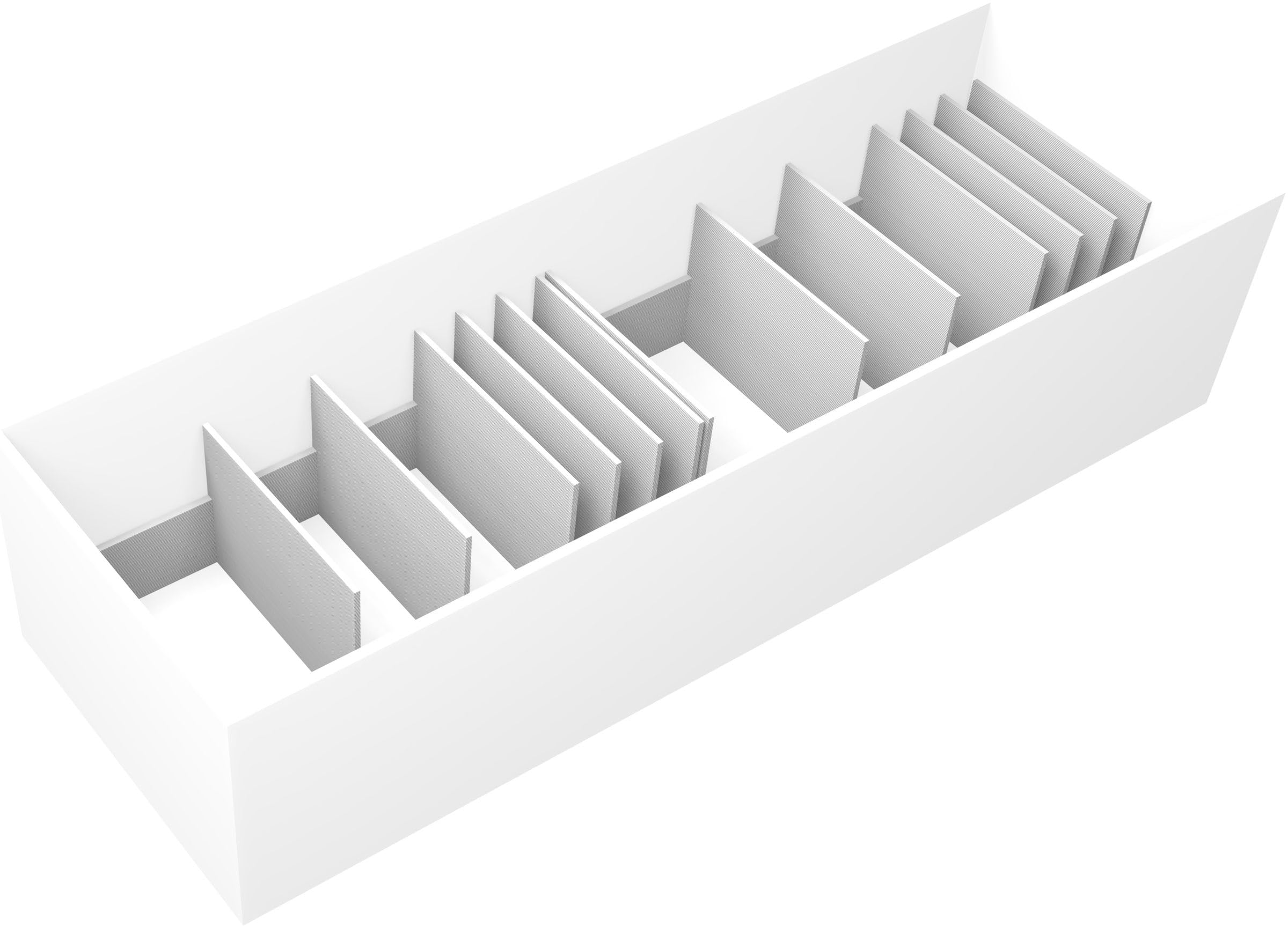 Organizer Insert Per Specie Dominanti Seconda Edizione Scatola Del Gioco Base