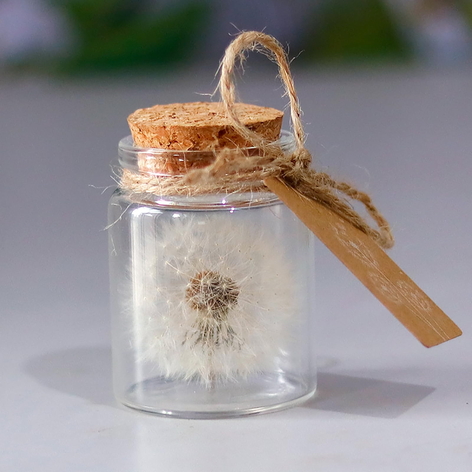 Shirene Women's Clear Real Dandelion In A Glass,Dandelion Gift Handmade Spiritual Gifts For Gift Girlfriend Birthday Mother's Day Gifts For Mum Gifts For Kids Best Friend