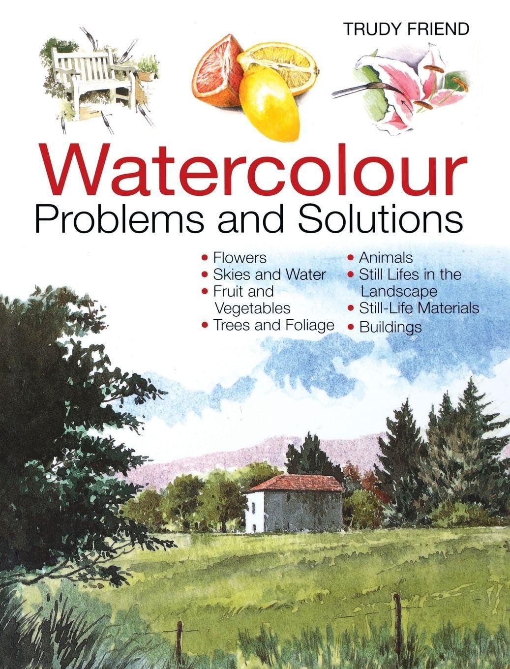 Watercolour Problems And Solutions: A Trouble-Shooting Handbook