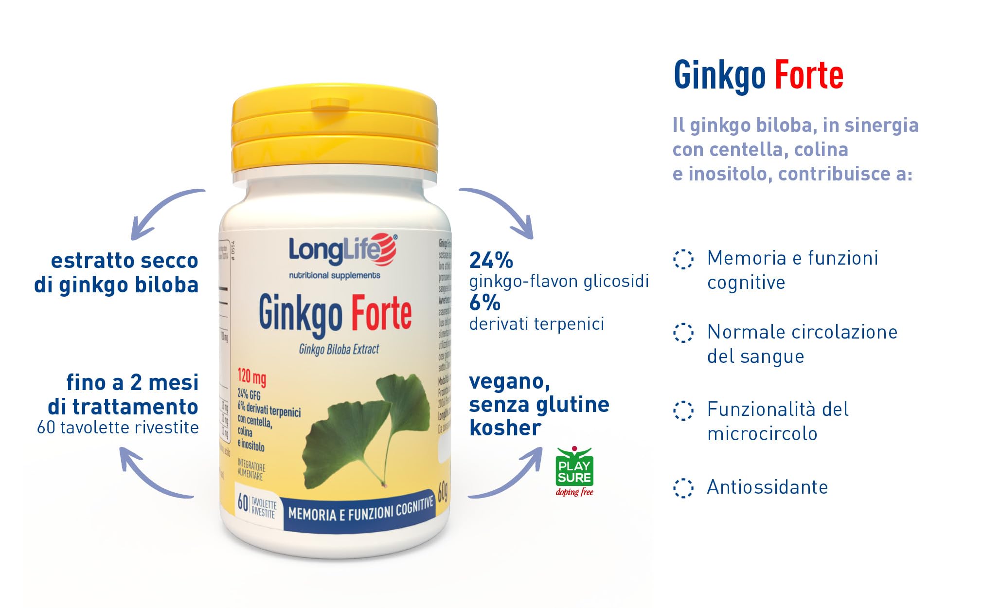 LongLife® Ginkgo Forte | Integratore di ginkgo con centella, colina e inositolo | Microcircolo, memoria e funzioni cognitive | Antiossidante | Fino a 2 mesi di trattamento | Vegano e senza glutine