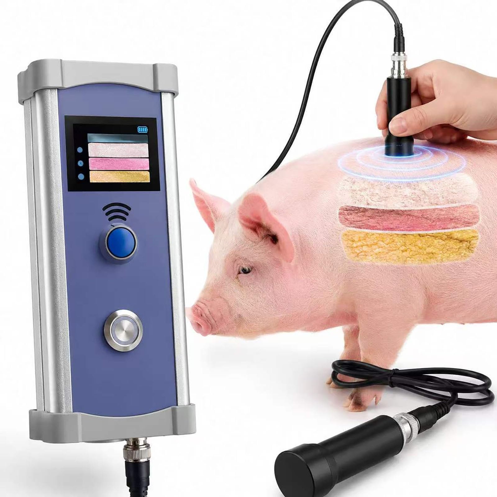 Tester di misura del grasso del bestiame, Tracker di spessore in tempo reale, Analizzatore delle condizioni corporee del maiale, sensore elettronico, scansione rapida, allevamento di animali, batteria