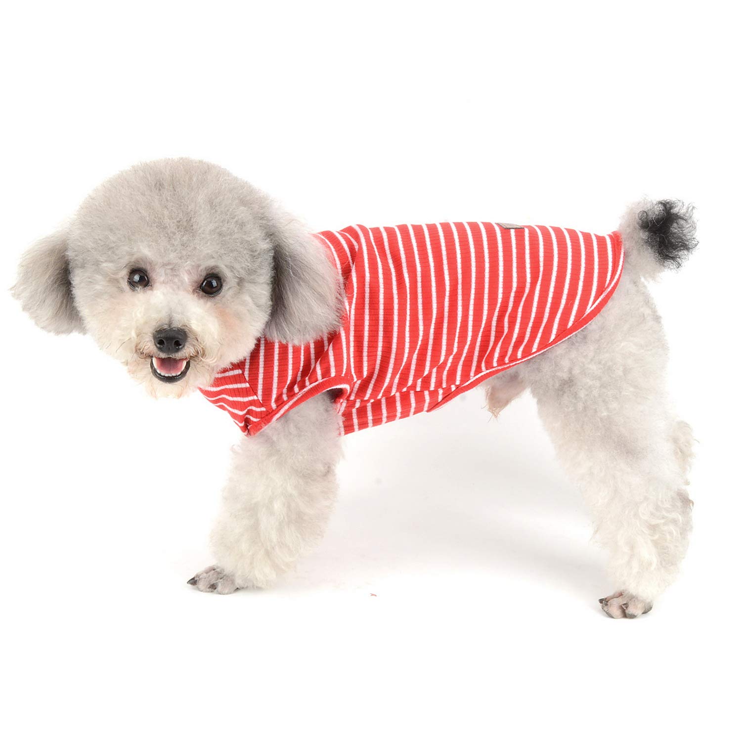 Smalllee_Lucky_Store Vêtements pour Animaux domestiques
