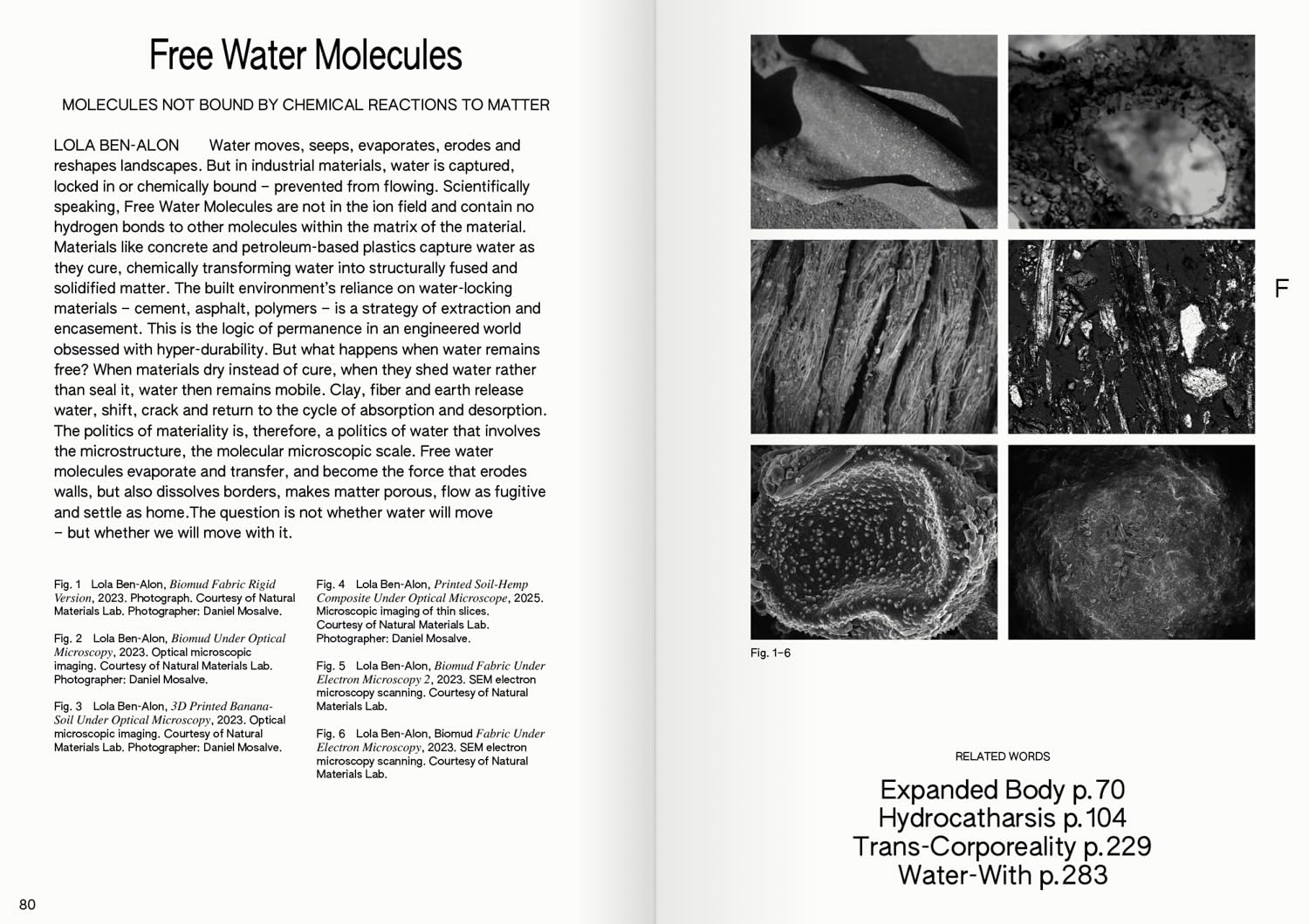 100 Words for Water /anglais: A Projective Ecosocial Vocabulary