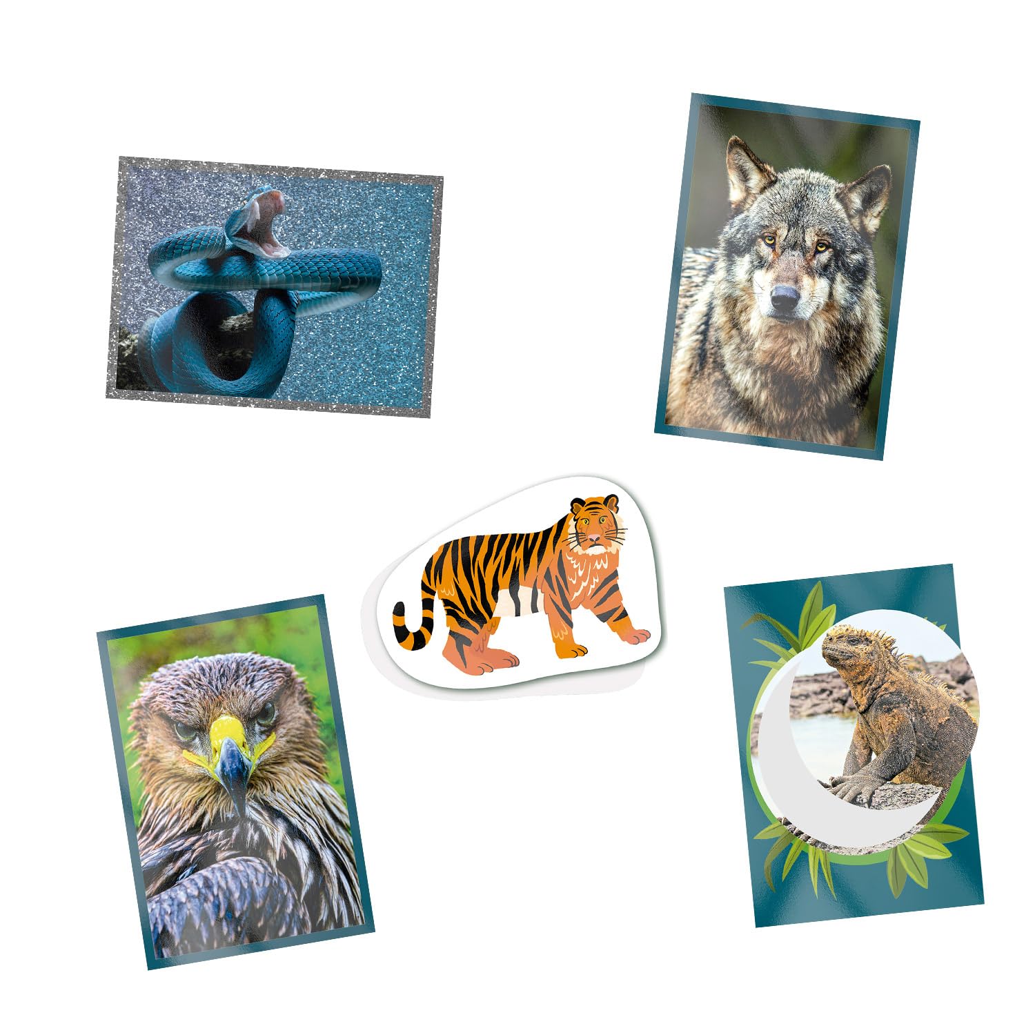 Panini World of Animal Records Album + 4 kieszenie, 004625SPCFGD