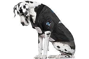 Littlearth NFL Dogs Lions Jersey for Big Dogs