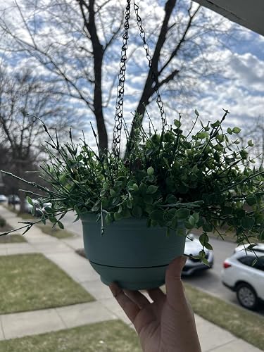 Review Image by Amazon Customer