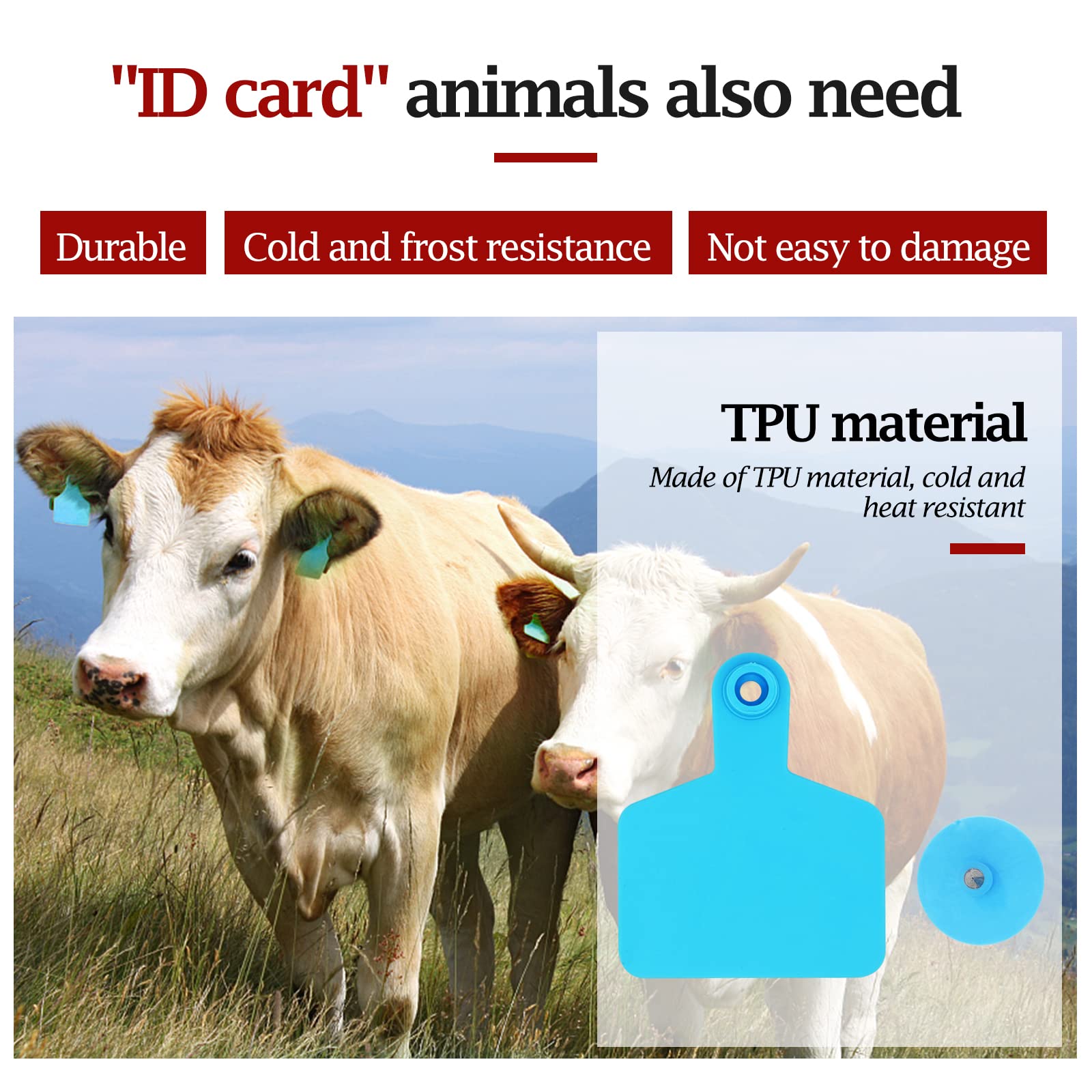 100 etichette auricolari vuote per bestiame 7,9 cm L x 2,6 cm W blu etichette per l'identificazione degli animali in TPU etichette per bestiame strumenti agricoli per mucche maiali pecore