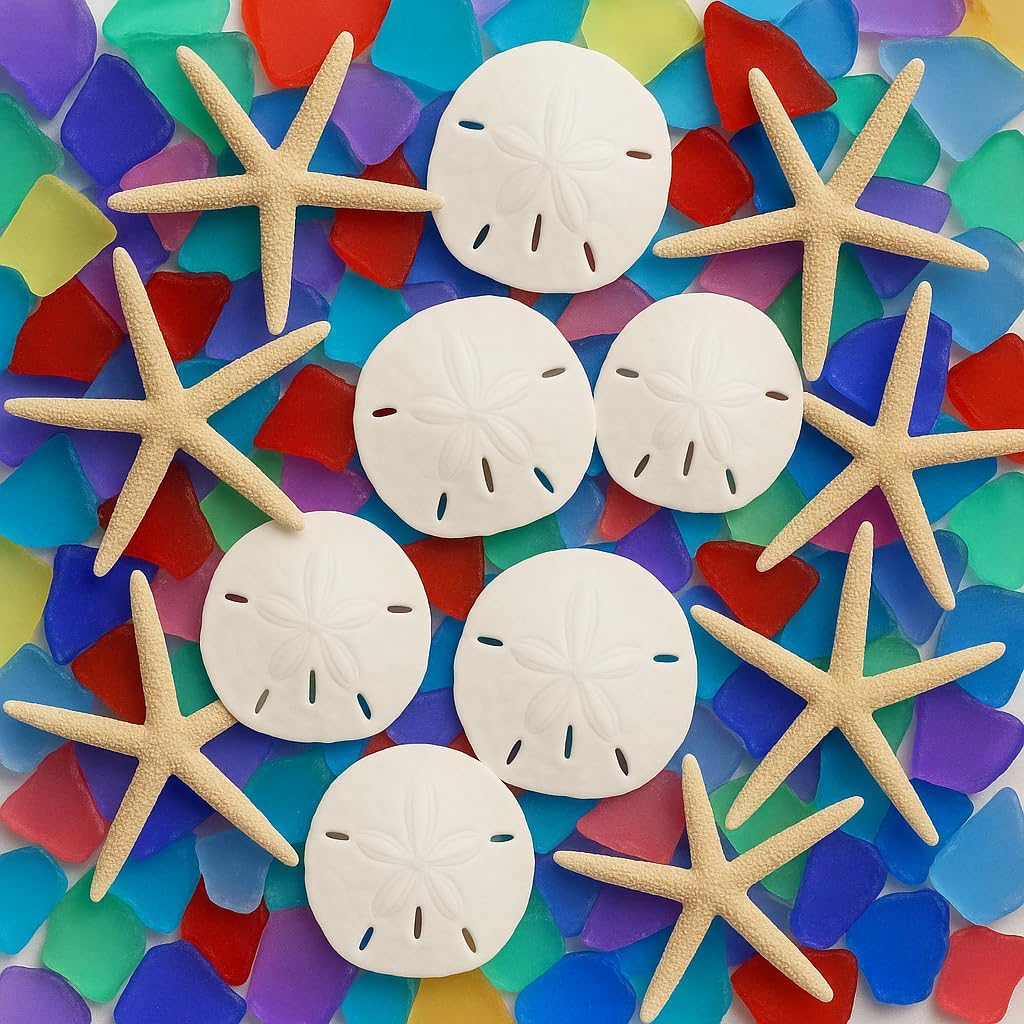 Real Finger Starfish & Sand Dollar Set with Assorted Sea Glass – 6 Real Finger Starfish (4–6"), 6 White Sand Dollars (3–3.5") & 11oz Assorted Tumbled Sea Glass for Coastal Crafts & Décor
