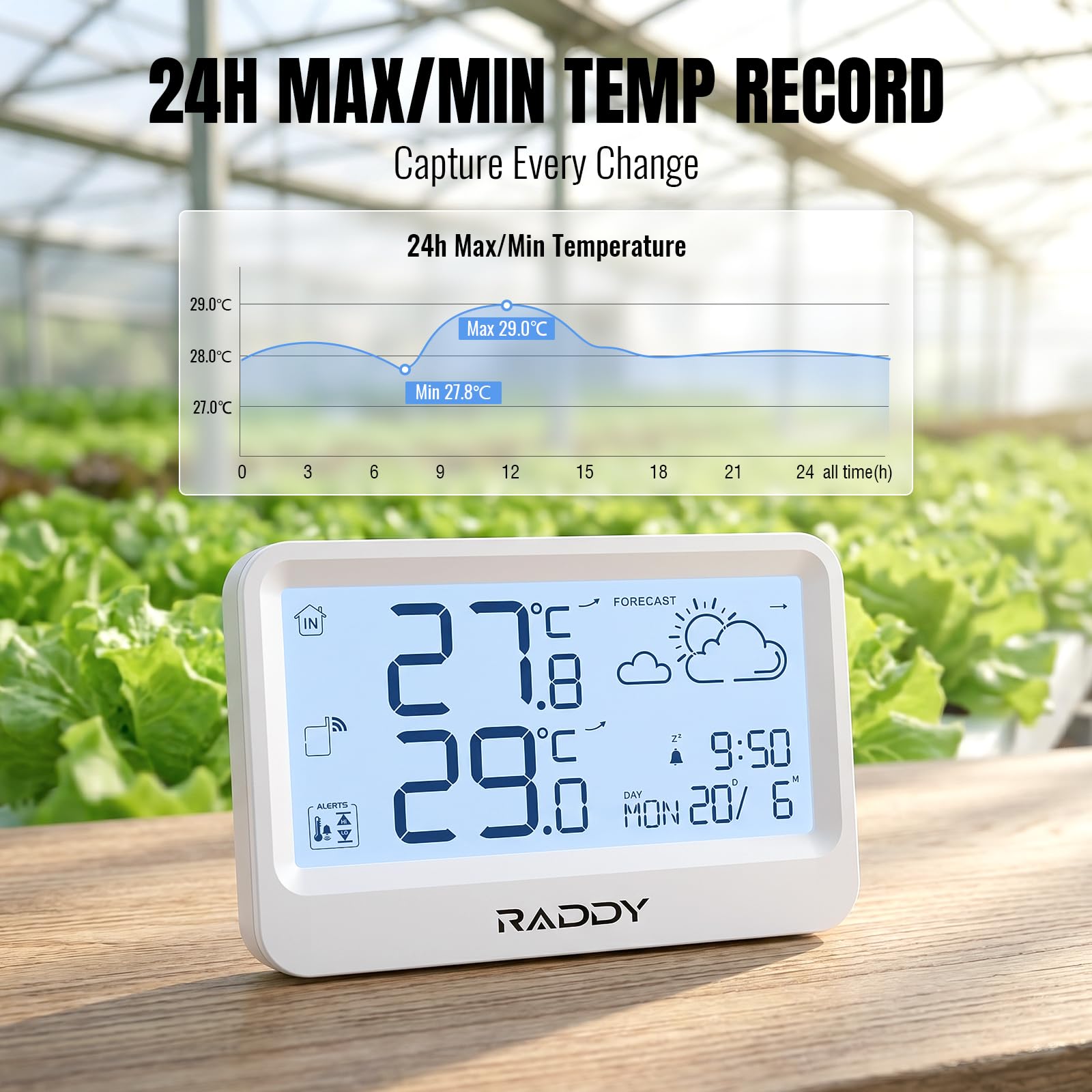 Raddy WF-60 Cyfrowa Stacja Pogodowa do Domu, Termometr Wewnętrzny i Zewnętrzny z Prognozą Pogody, Monitor Temperatury z Alarmem Mrozu, Budzik, Zasilanie Bateryjne, do Domu i Ogrodu