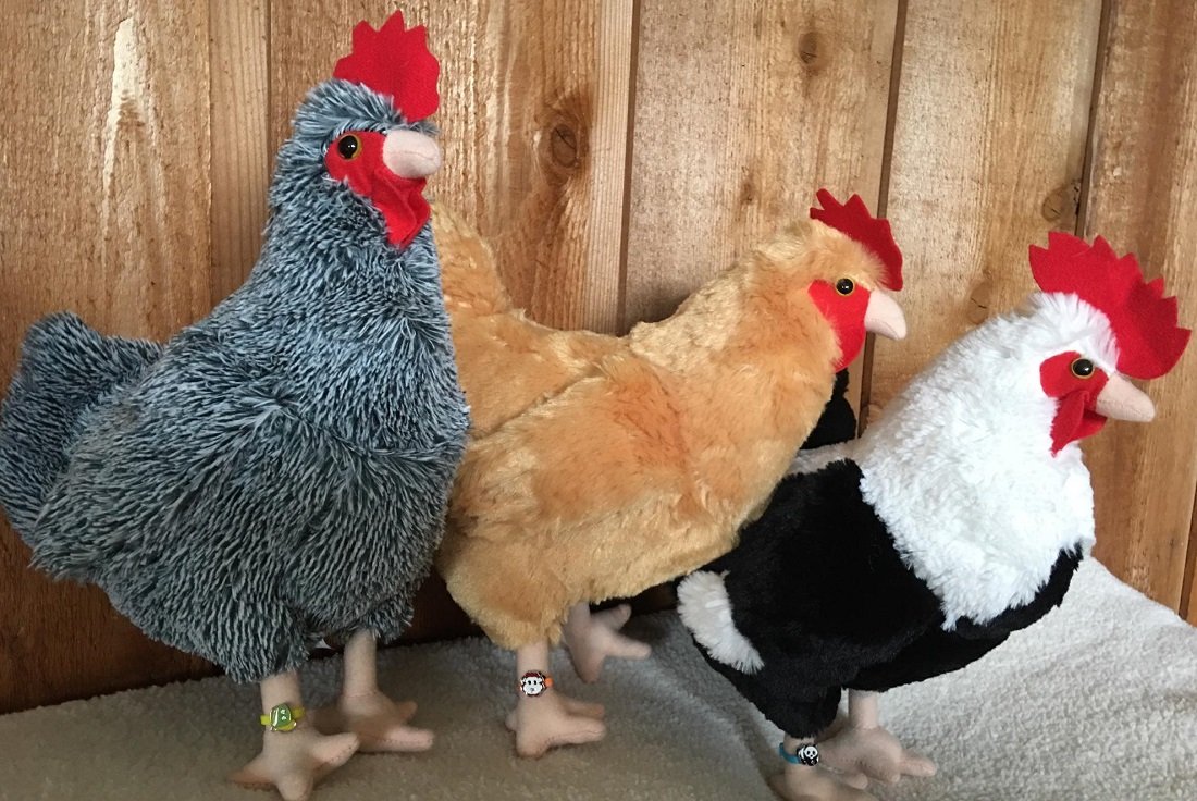 Shannon's Chixx Colorful Chicken Leg Bands - Set Of 10 Poultry Identification Charms