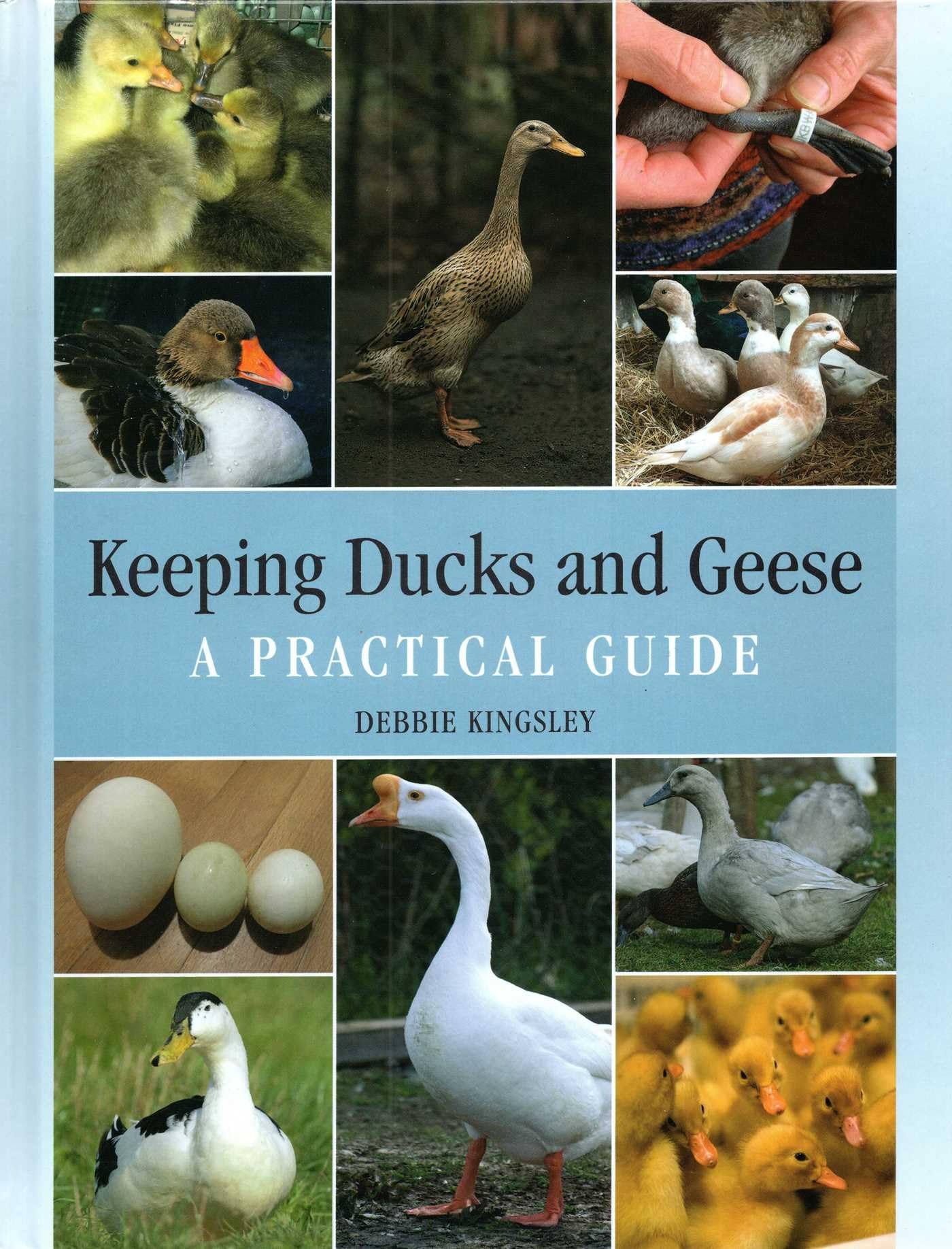Keeping Ducks and Geese: A Practical Guide,Debbie Kingsley