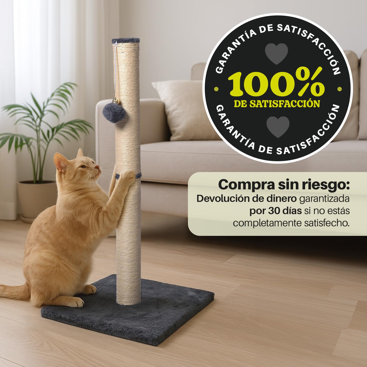 Rascador para Gatos Grandes de Interior, Poste Rascador de Sisal 74 cm con Cascabel en la Bola Colgante, Incluye Juguete de Plumas para tu Gato, Ideal para Afilado de Uñas y Diversión