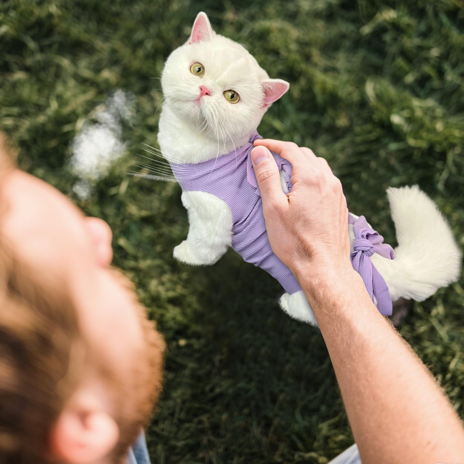 Combinaison Chirurgicale Réparatrice pour Chat Femelle Respirante | Vêtement de Protection Anti-Léchage pour Chats,Combinaison Douce Soins à Domicile Confort Intérieur