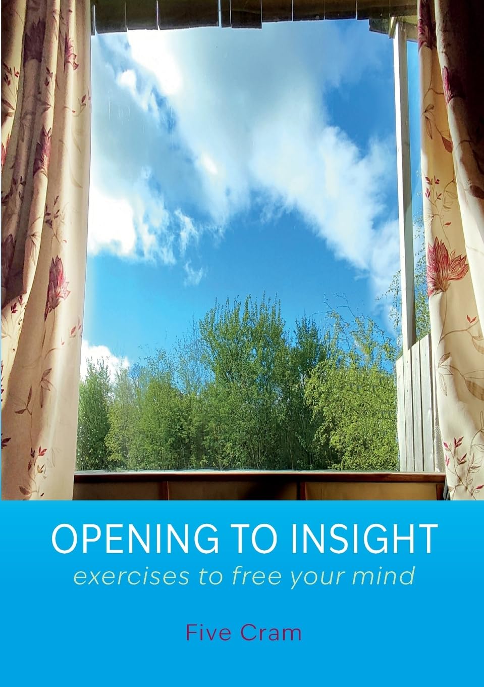 Opening to Insight: exercises to free your mind