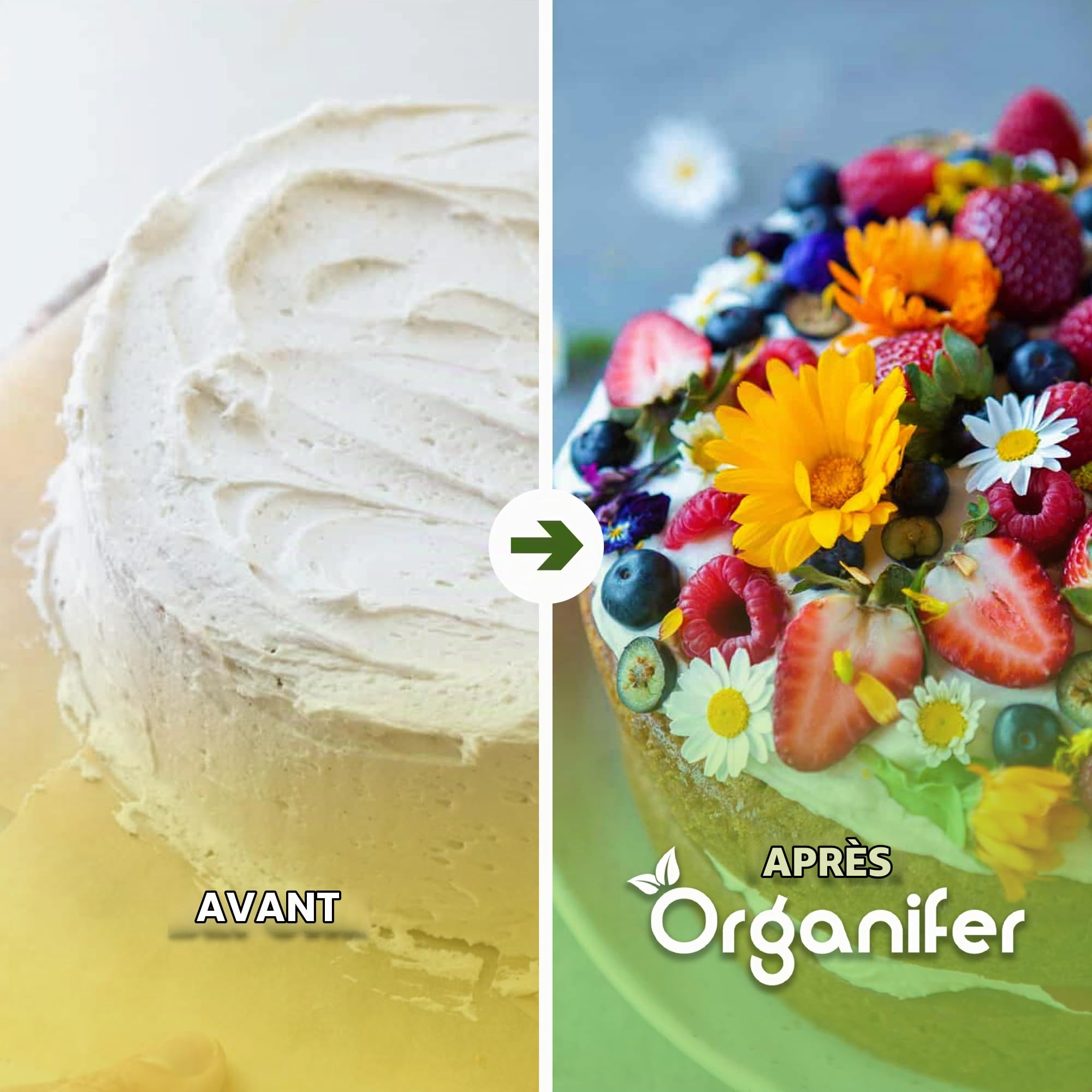 Pack De Graines De Fleurs Comestibles | Graines De Capucine - Plantes Comestibles - Graines De Bleuet - Graines De Fleurs Comestibles - Jardin Comestible - Organifer