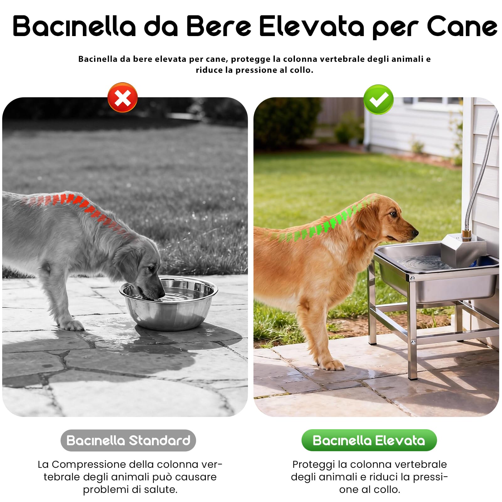 11L Abbeveratoio Automatico Cani,Ciotole Per Cagon Rialzate Con Stand In Metallo,Ciotola Galleggiante Cagonlion,Acciaio Inox Abbeveratoio per Cani da Esterno Gran Capacità per Cagon Medi E Grandi