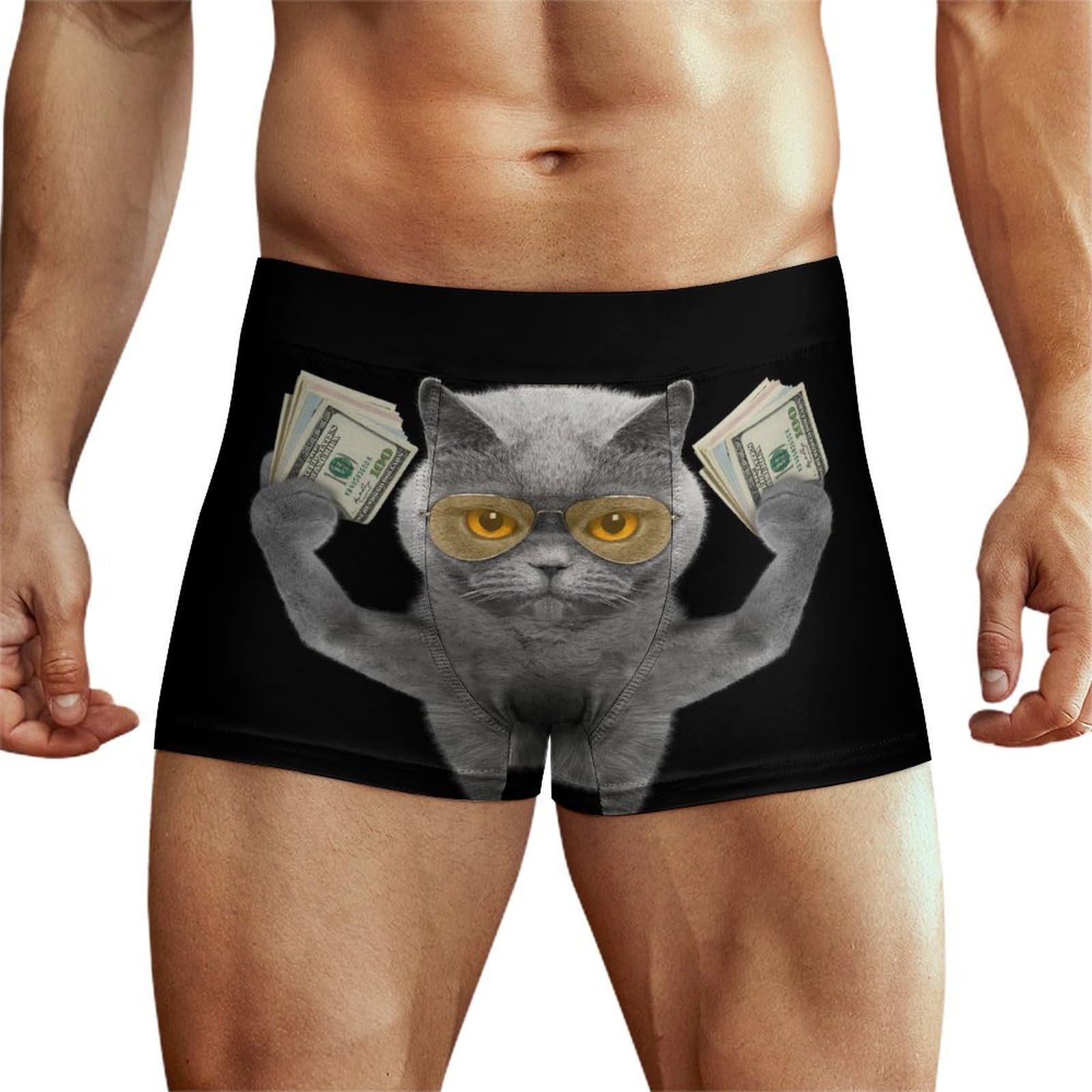 Niapessel Men's Funny Cat With Money Boxer Briefs, Underwear Boxer Brief, Breathable Comfort Novelty Boxers Briefs For M