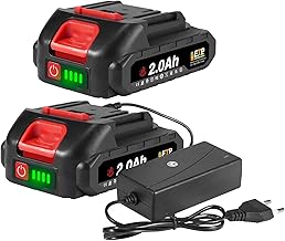 ONEVAN Lithium Battery 2 x 2.0 Ah 20 V with Charger, Tool Battery with LED Indicator, Replacement Battery for All Tools ONEVAN