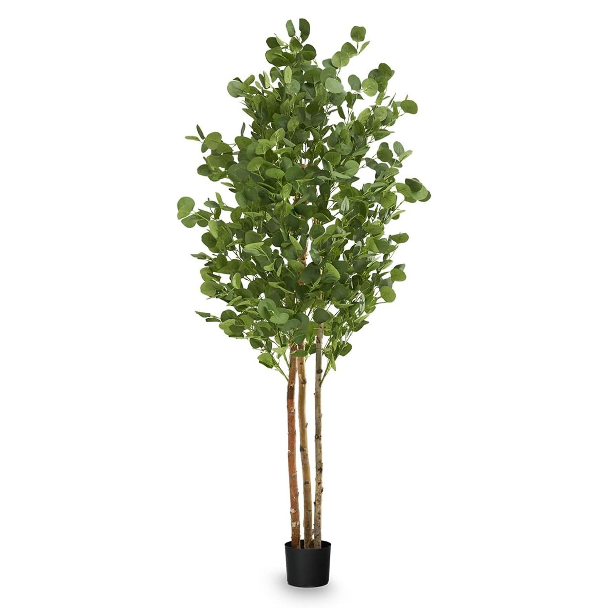 Maia Shop 180 cm Artificial Eucalyptus for Home and Office Decoration, Tree, Hyper-realistic Decorative Artificial Plant with Natural Trunk โ image 1