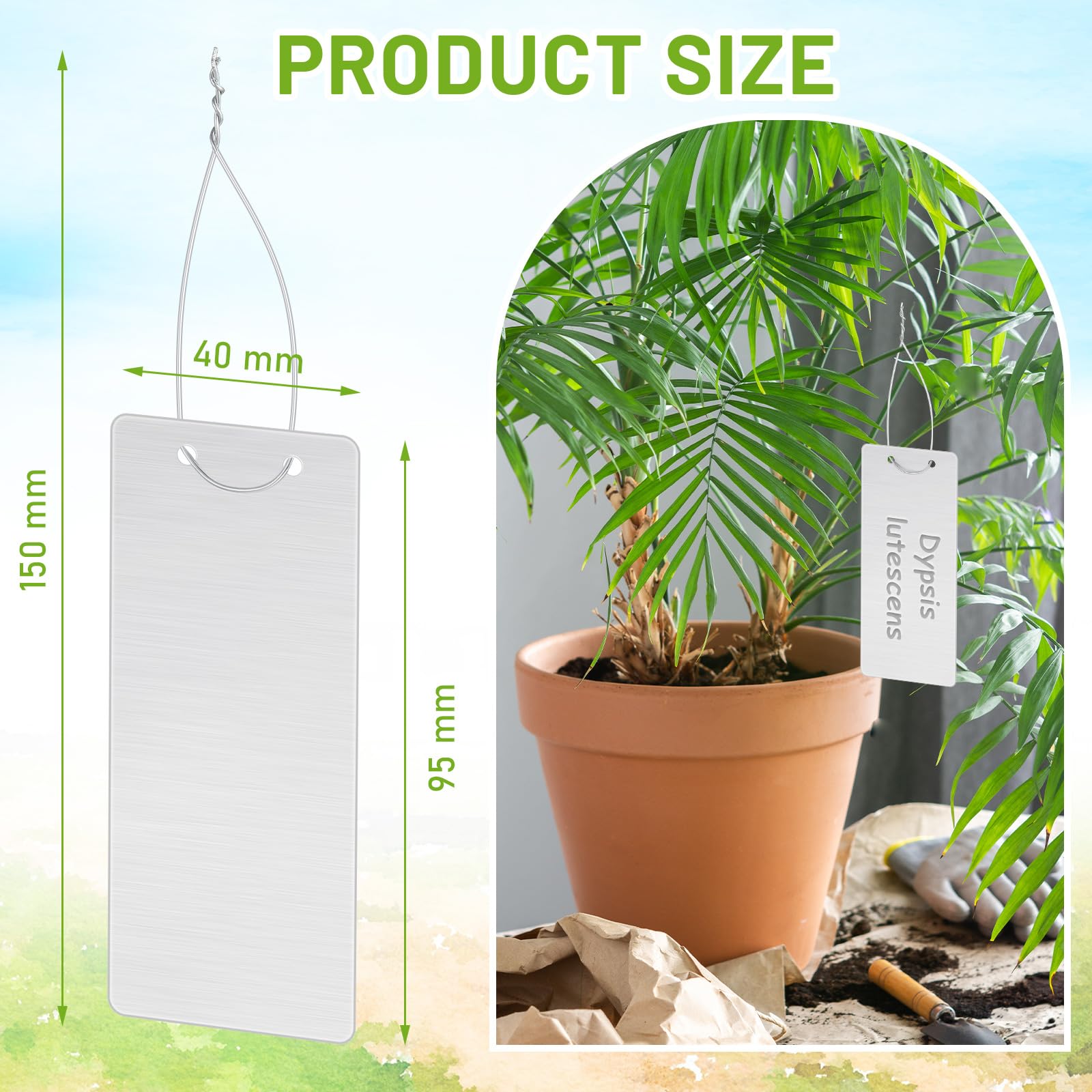 Large Tree Label Tree Identification Labels