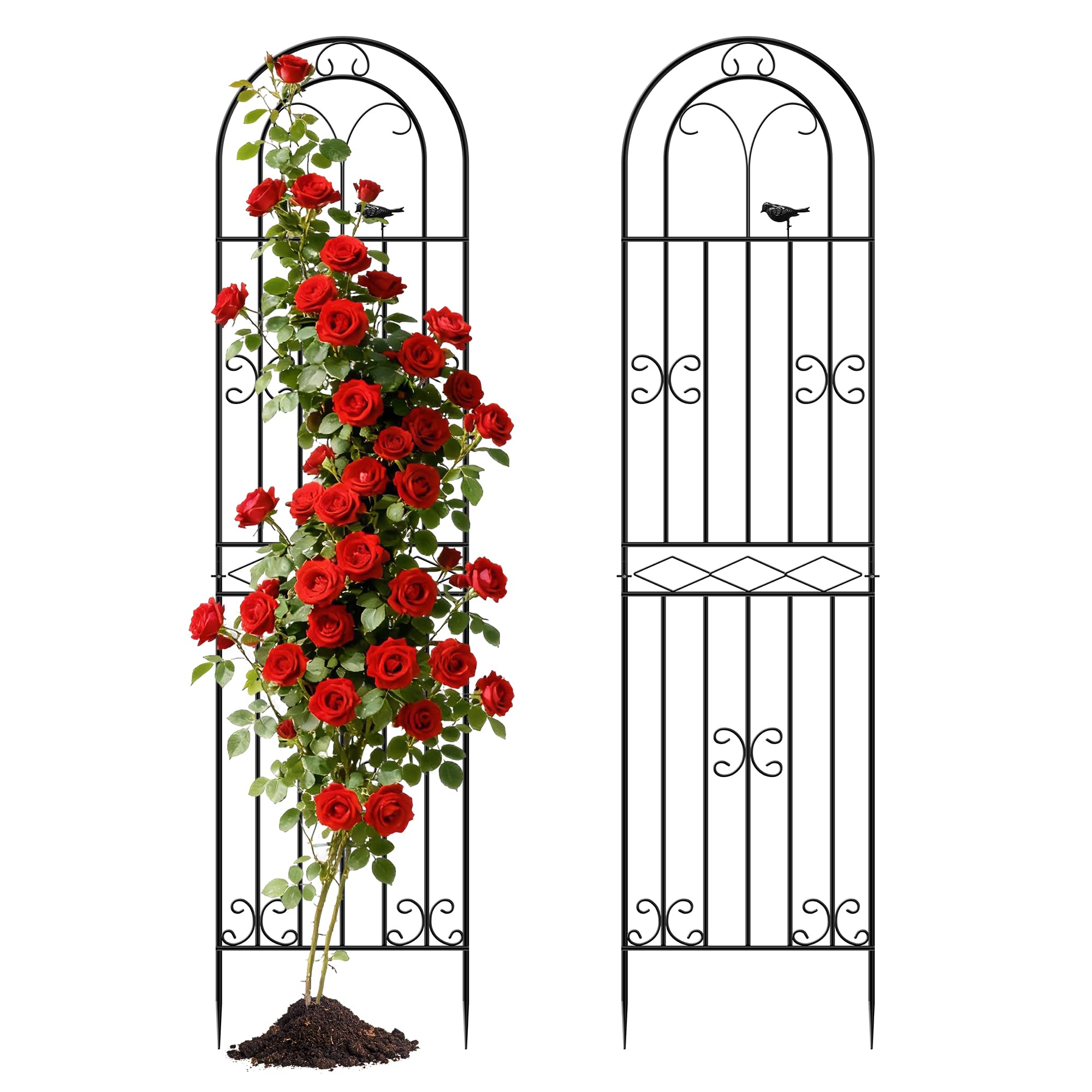 ARIFARO 200cm Metal Garden Trellis for Climbing Plants, Pack of 2, Indoor/Outdoor Sturdy Decorative Plant Trellises for Potted Plants, House Plants, Climbing Vines, Bird Pattern