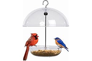 Jacobs Jayne Bluebird Pearl Feeder Dome Bird Feeder for Small Birds